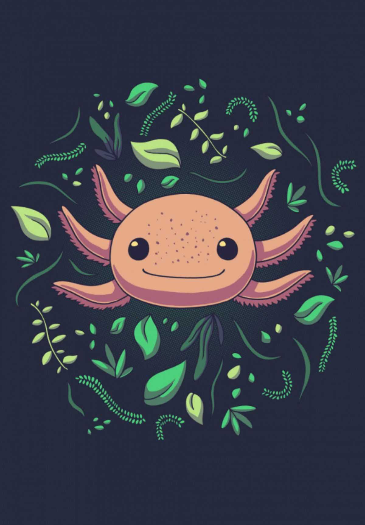 Cute AxolotlWallpapers