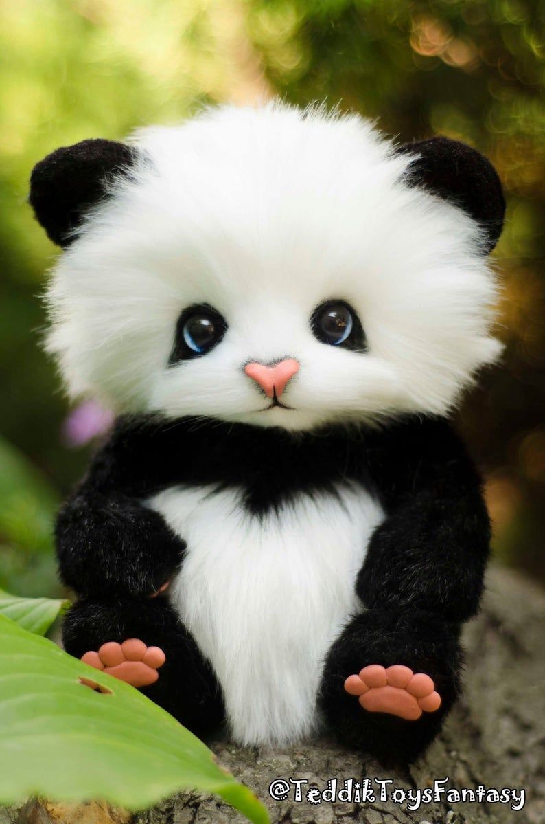 Cute Baby Panda  Wallpapers