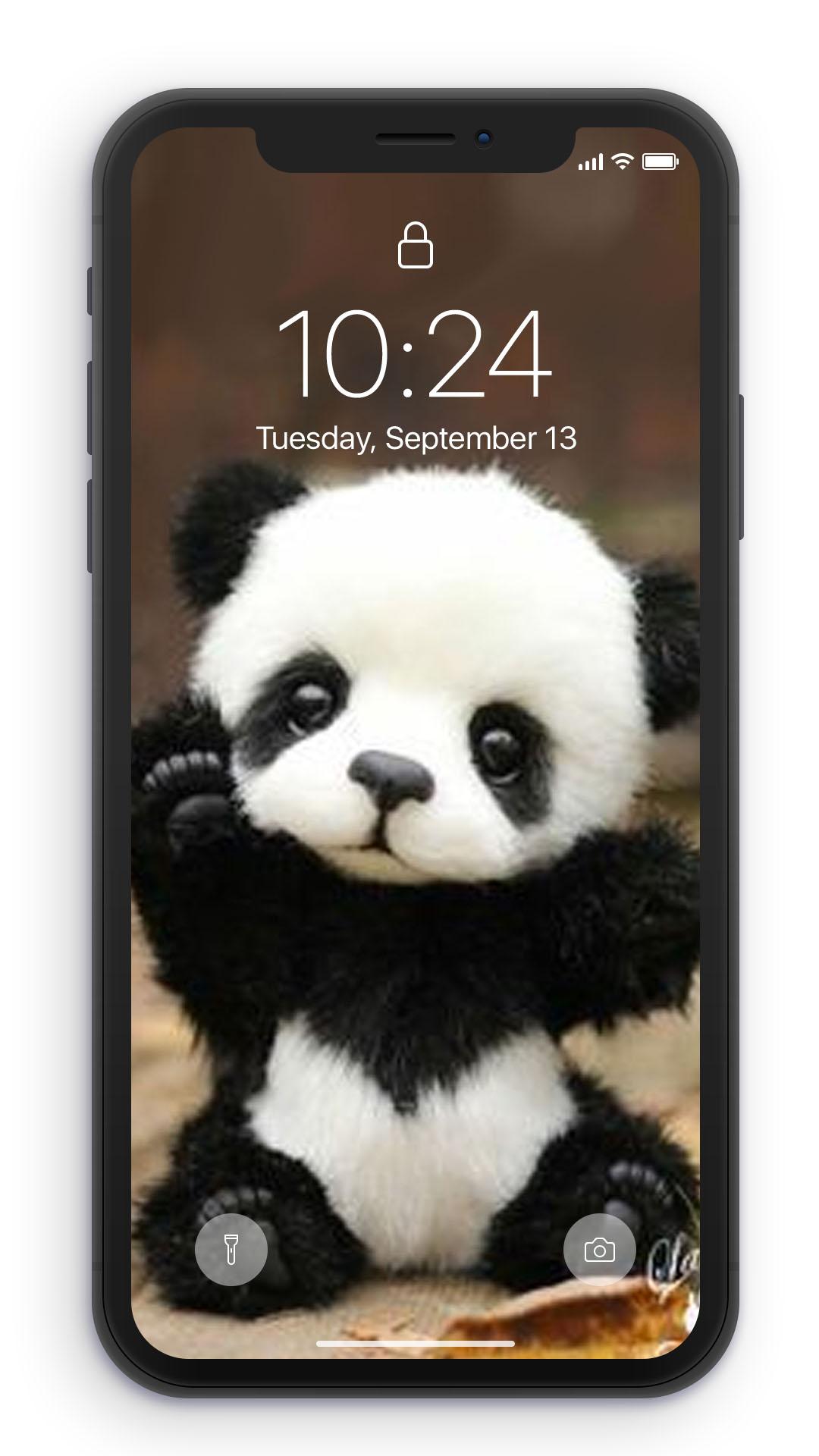 Cute Baby Panda  Wallpapers