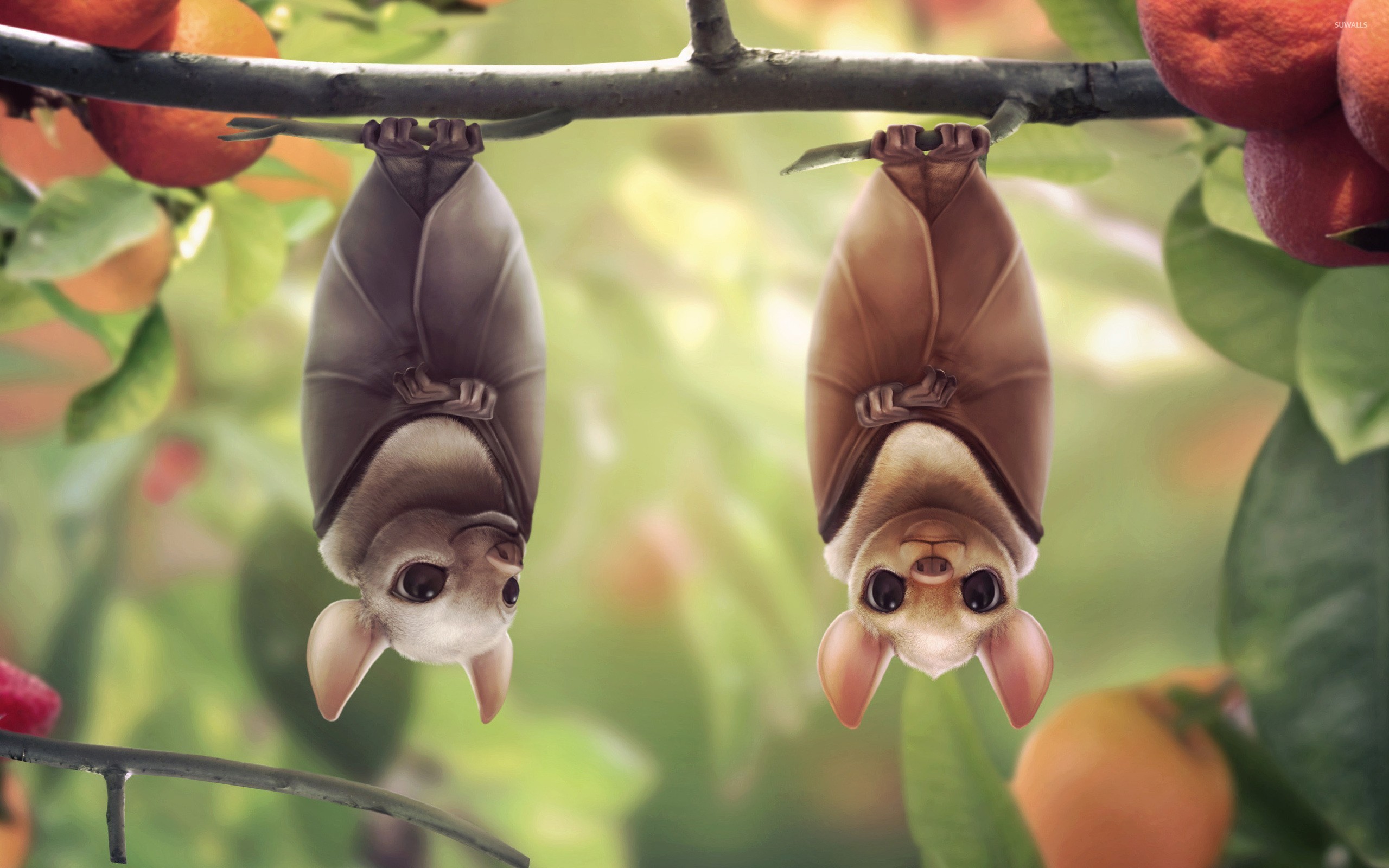 Cute BatsWallpapers