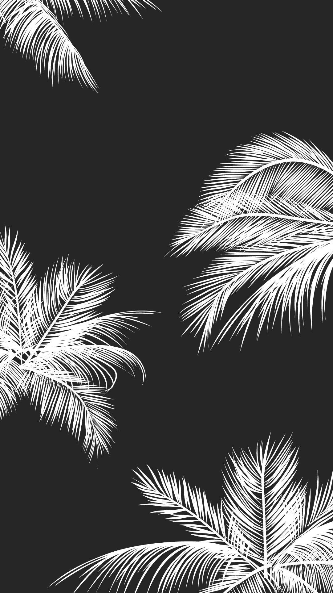 Cute Black And White Aesthetic Wallpapers