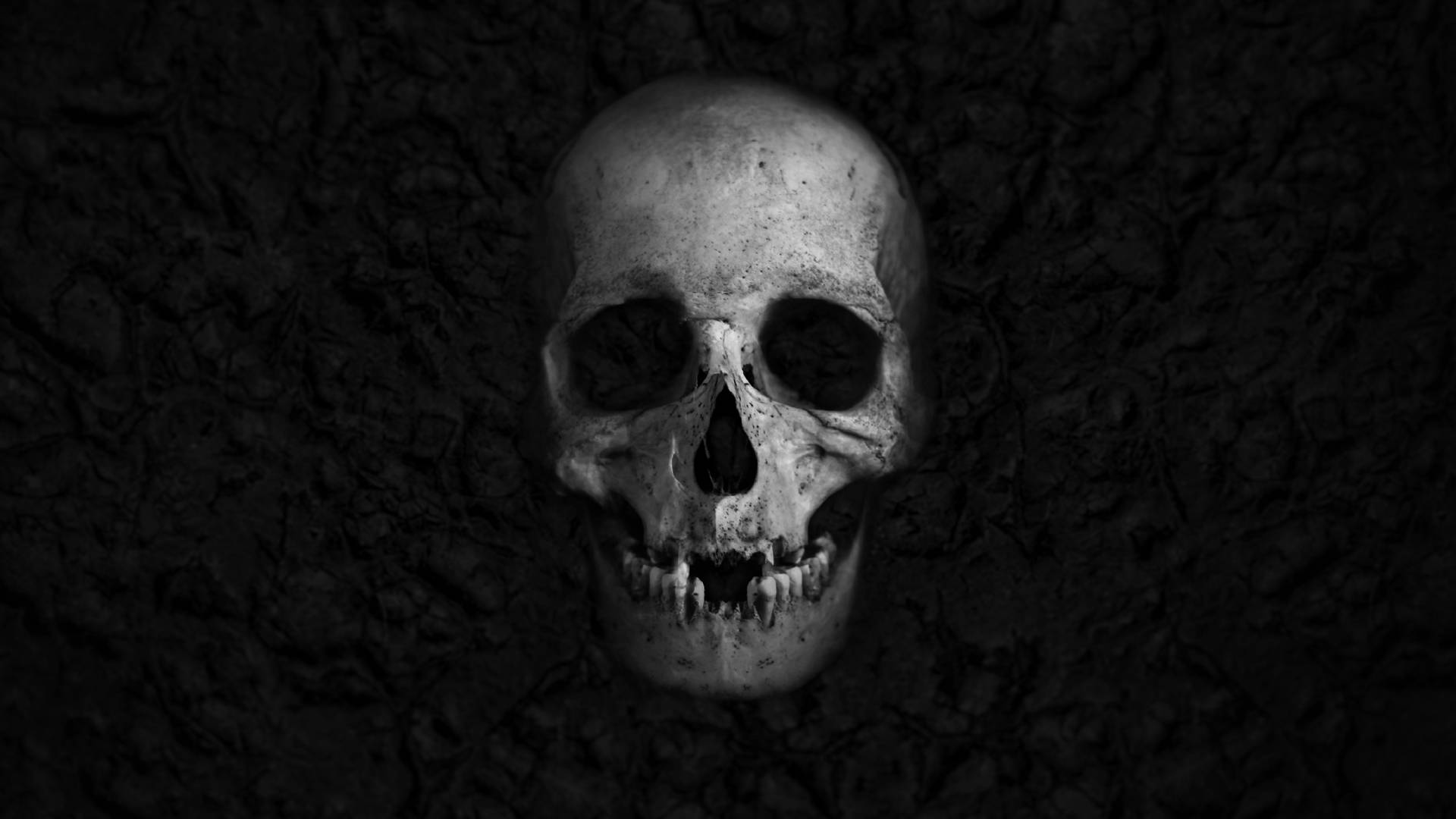 Cute Black SkullWallpapers