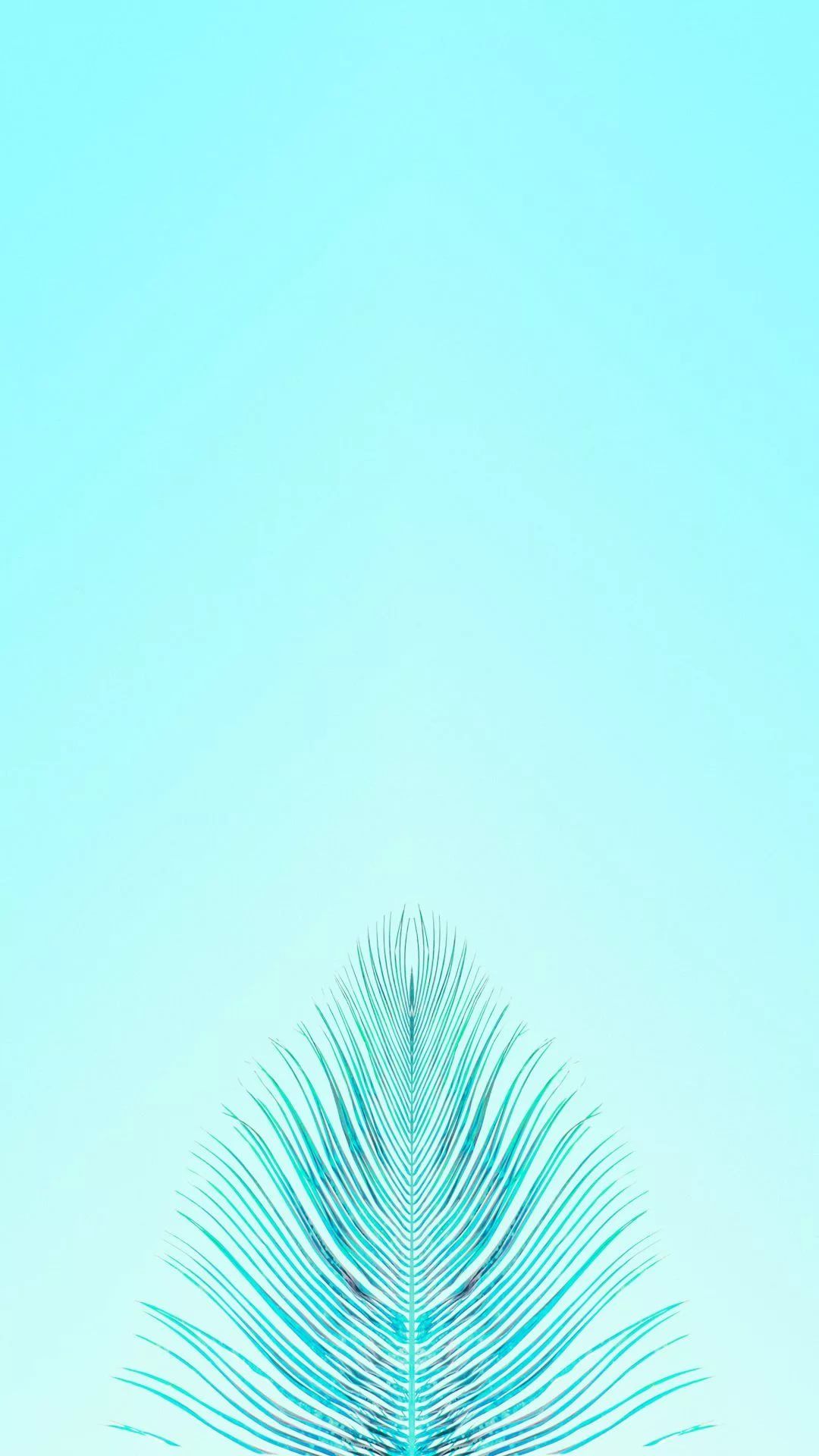 Cute Blue Iphone Wallpapers