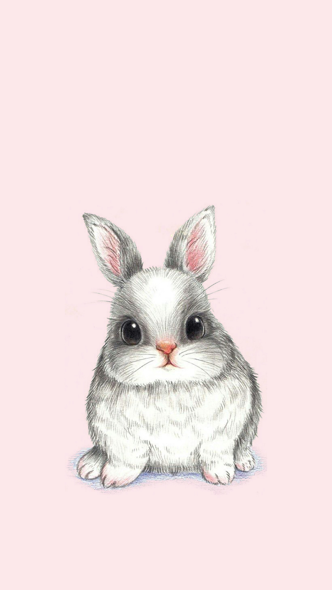 Cute Bunny Wallpapers