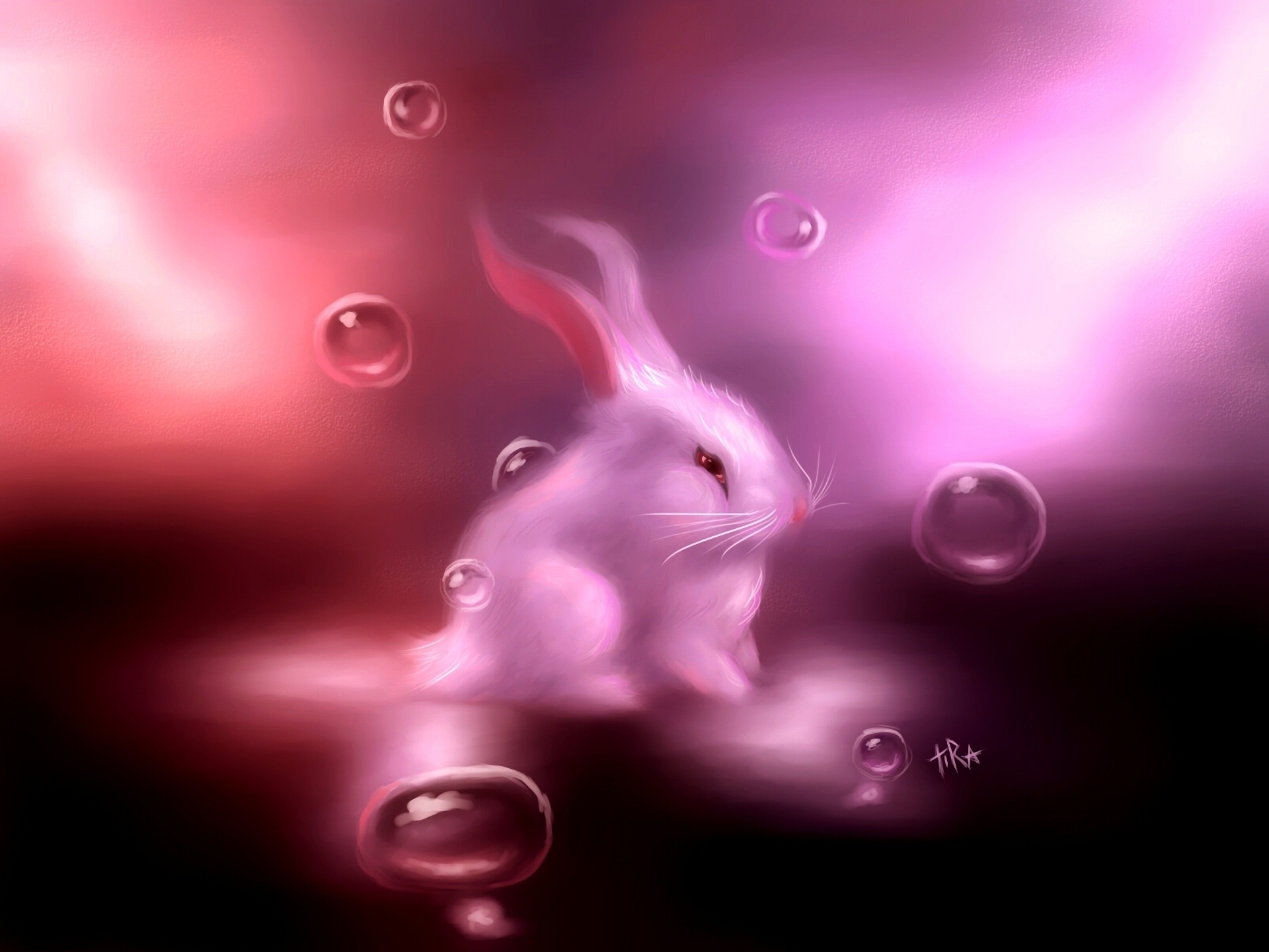 Cute Bunny Wallpapers