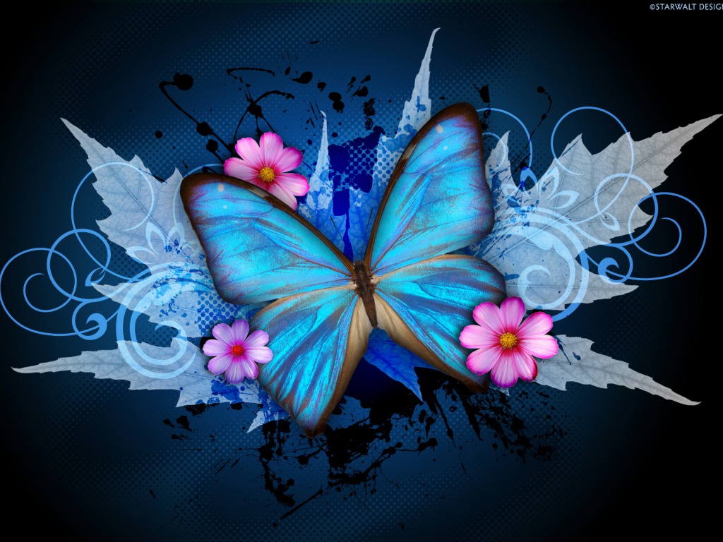 Cute Butterfly Wallpapers