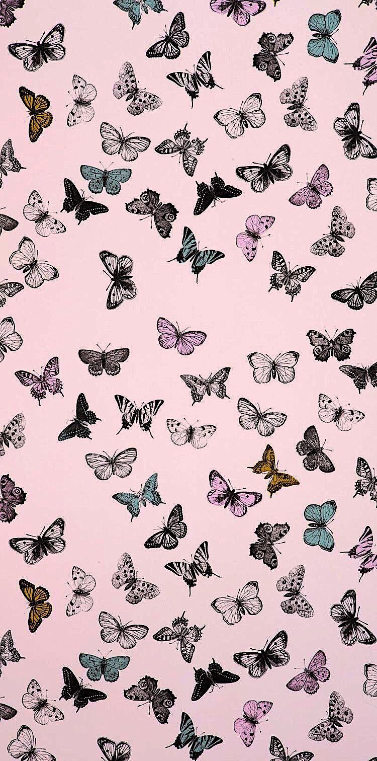 Cute Butterfly Wallpapers