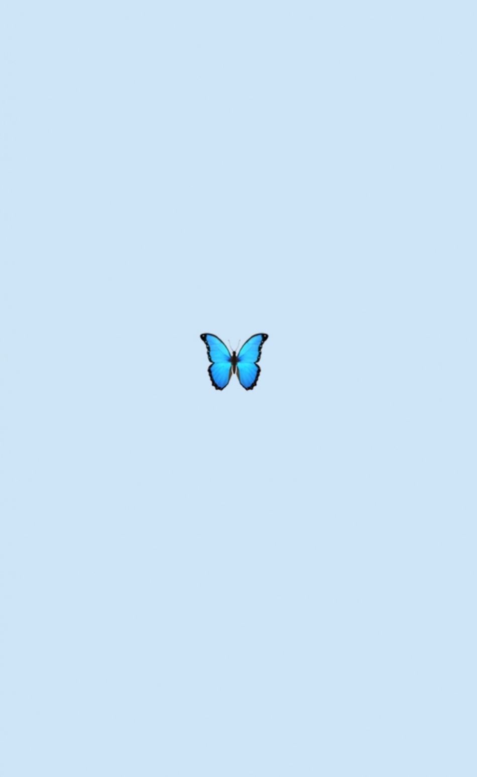 Cute Butterfly Wallpapers