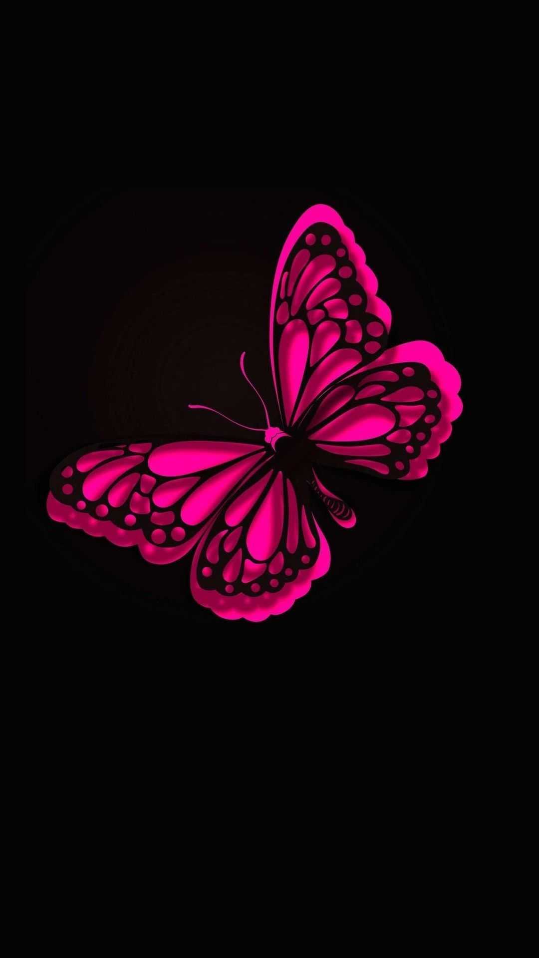 Cute Butterfly Wallpapers