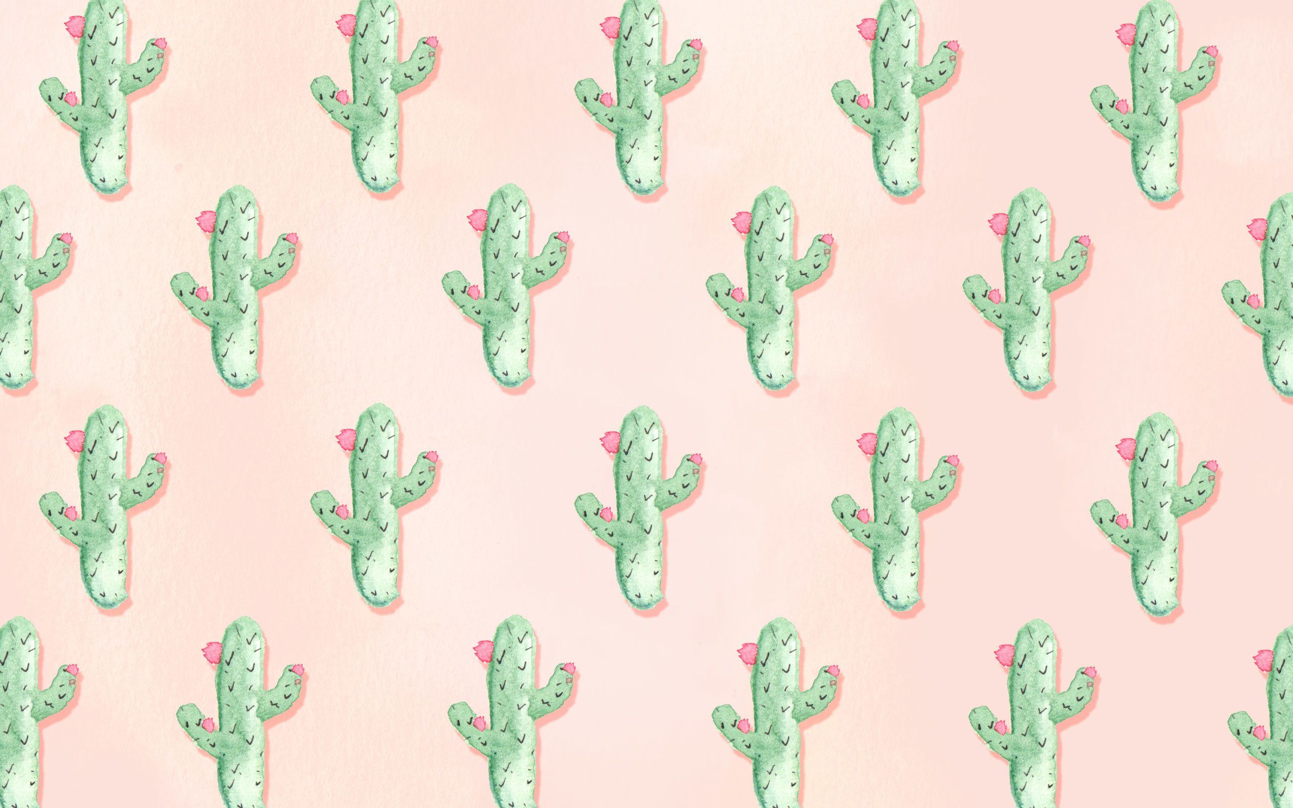 Cute CactusWallpapers