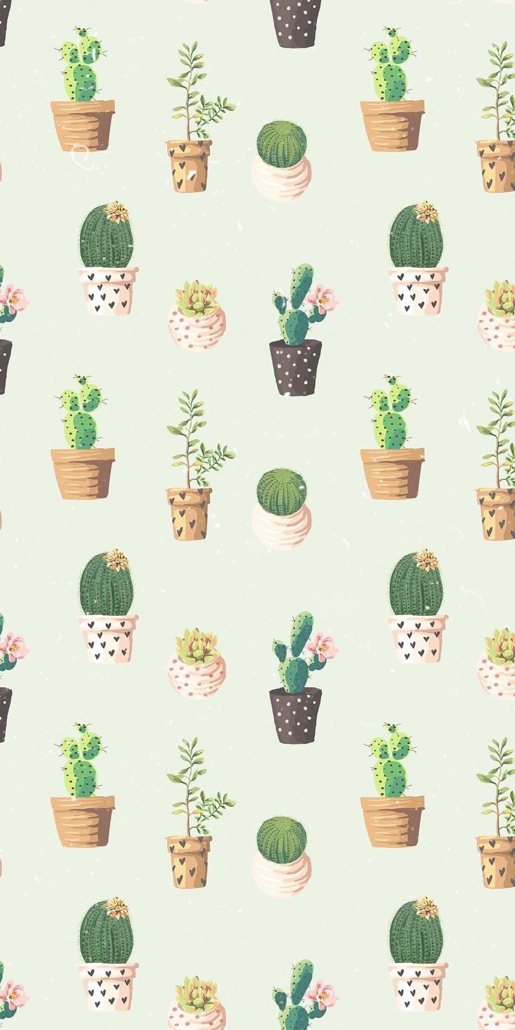 Cute CactusWallpapers