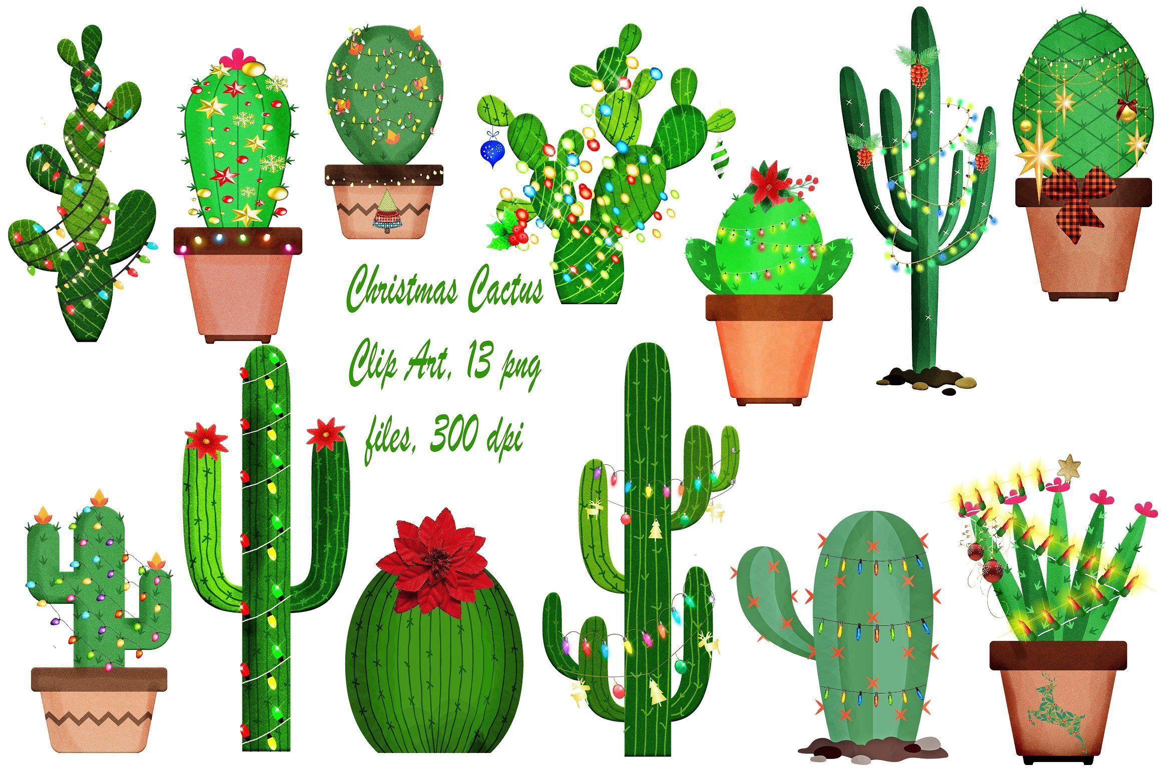 Cute CactusWallpapers