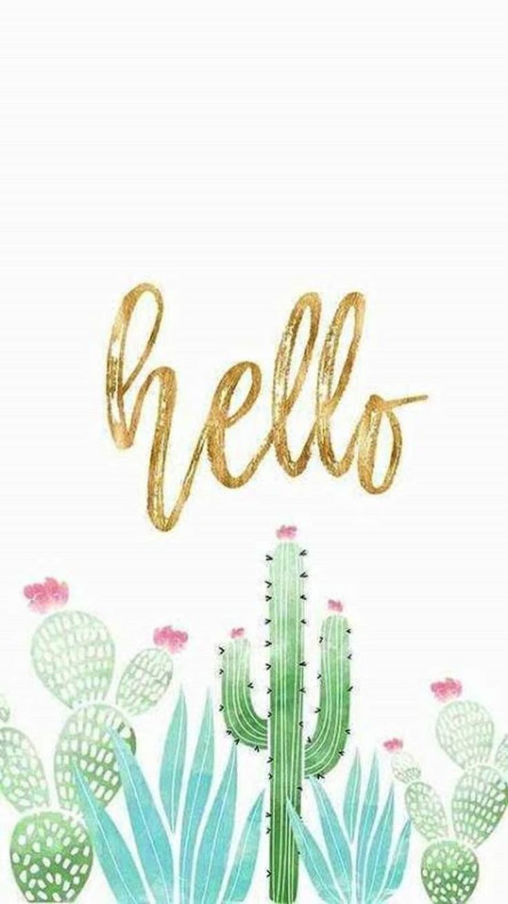 Cute CactusWallpapers