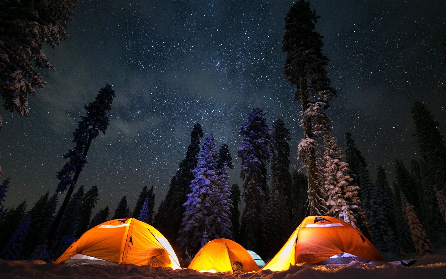 Cute Camping Wallpapers