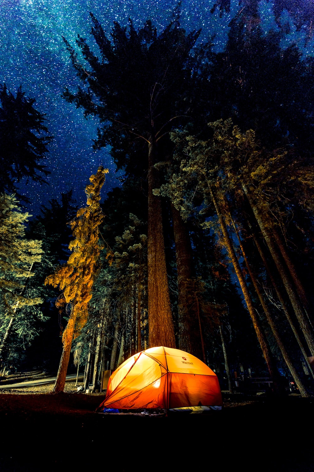 Cute Camping Wallpapers