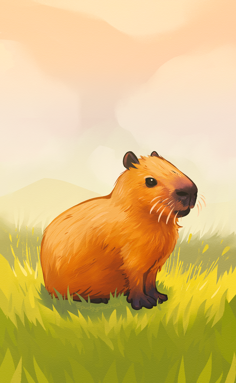 Cute Capybara Wallpapers