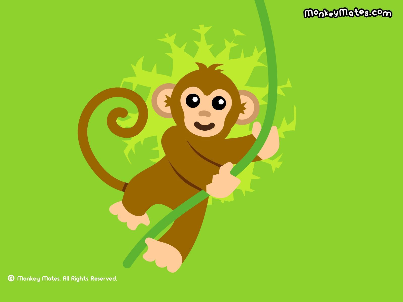 Cute Cartoon Monkey Wallpapers