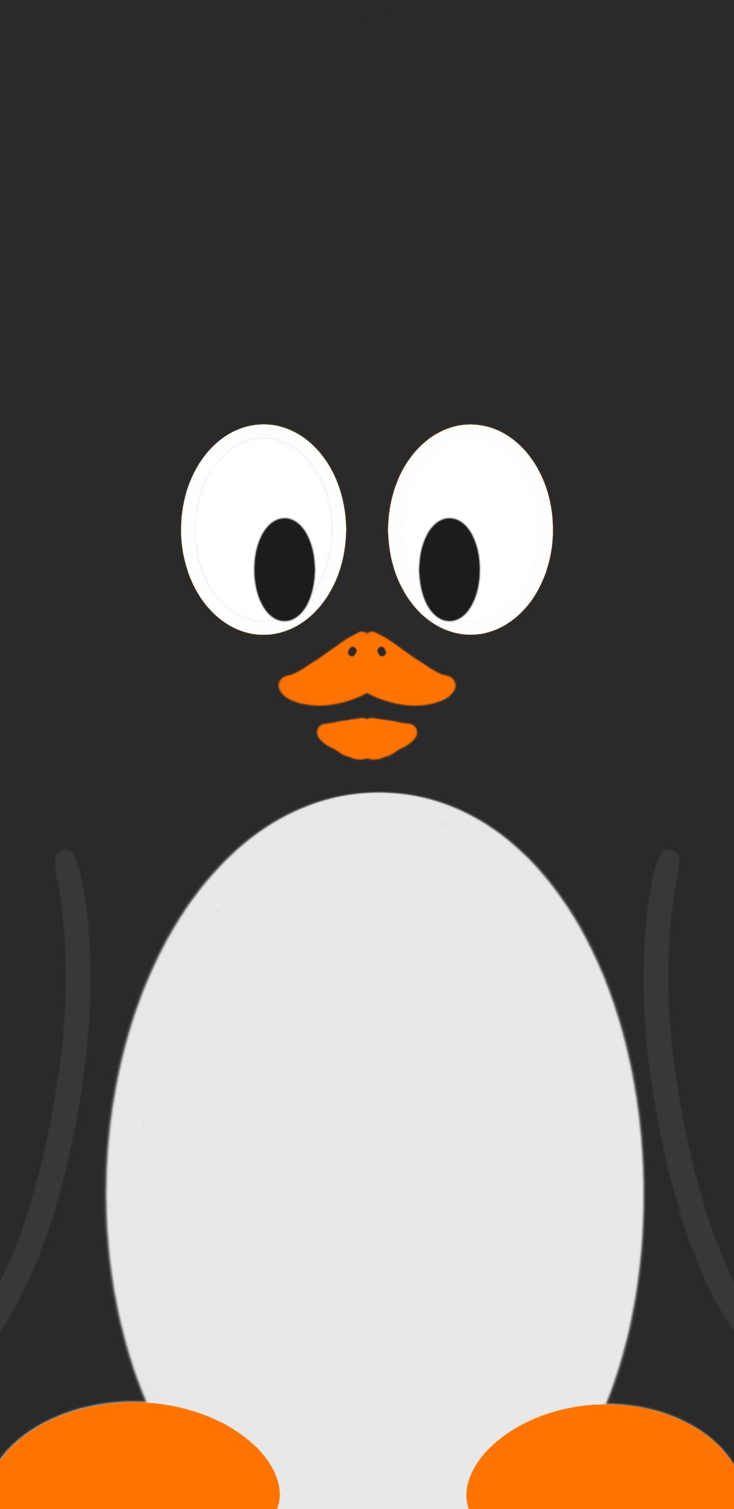 Cute Cartoon Penguin Wallpapers