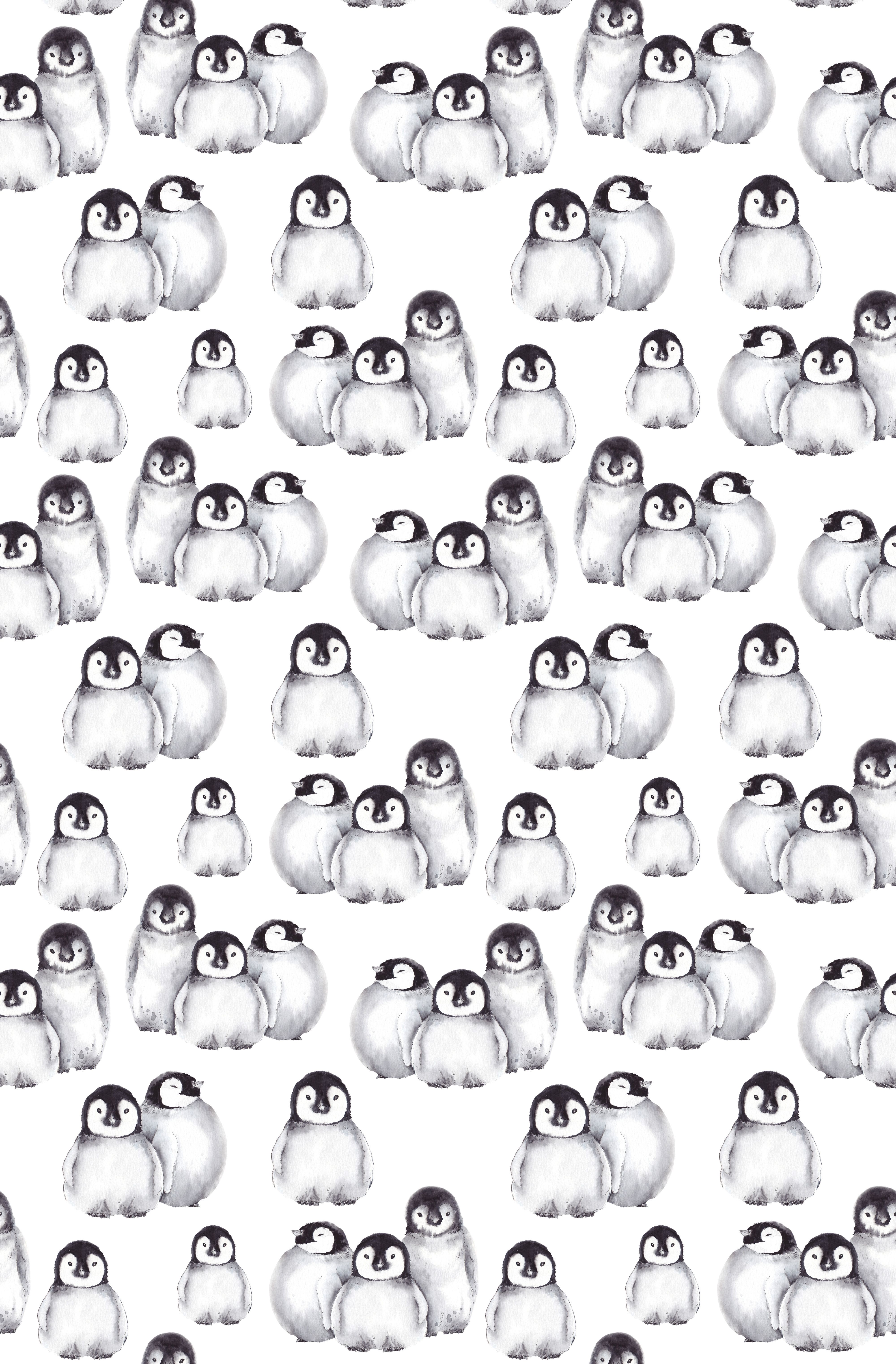 Cute Cartoon Penguin Wallpapers