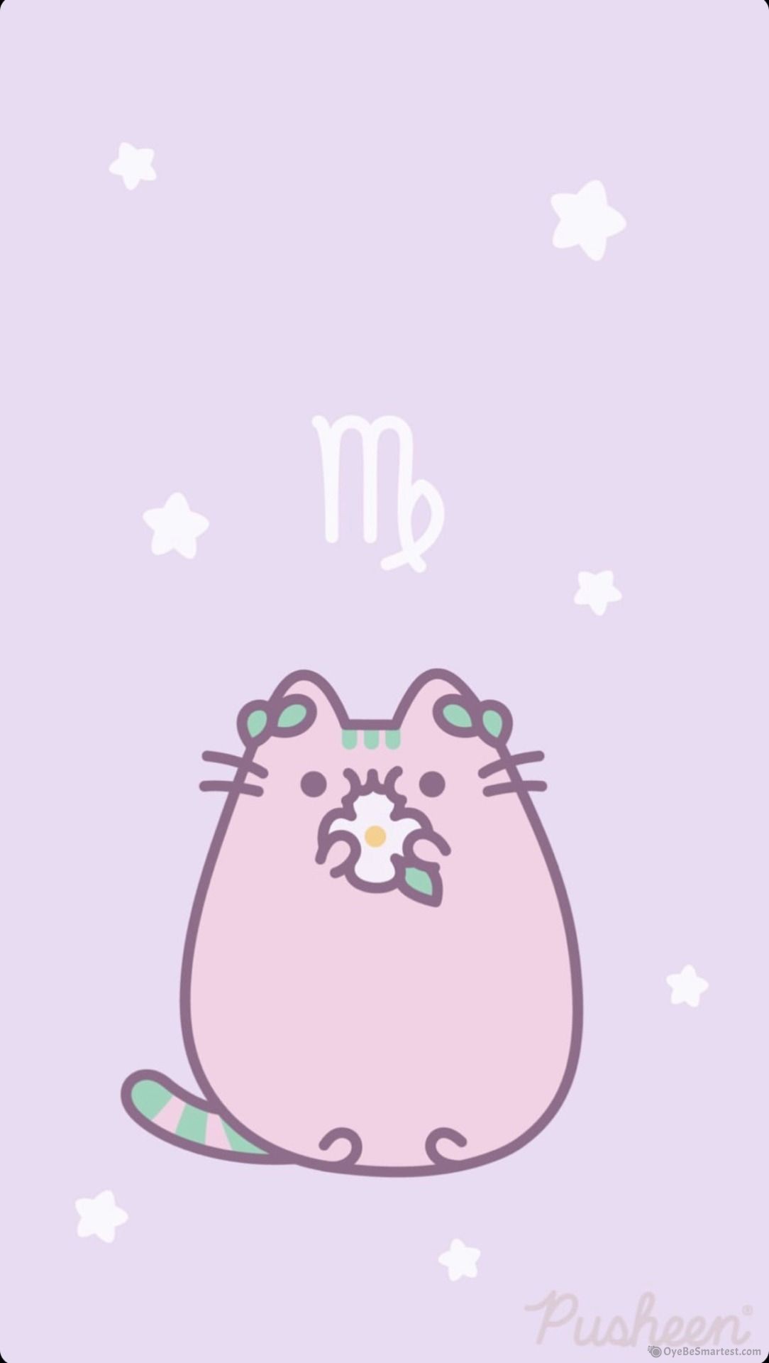 Cute Cat Aesthetic Wallpapers