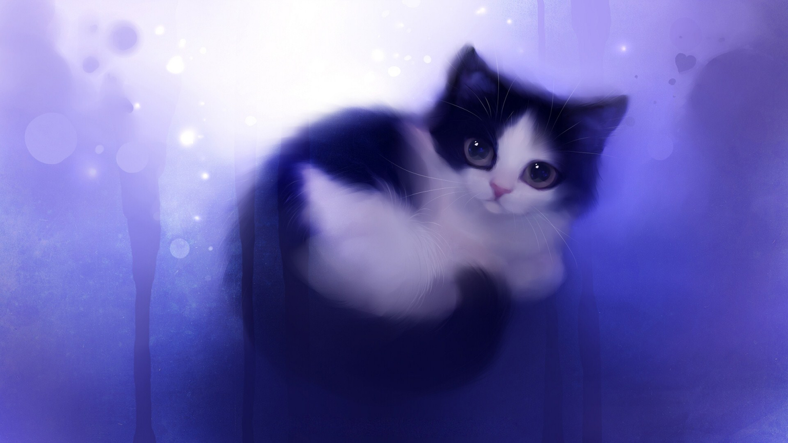 Cute Cat Aesthetics Wallpapers