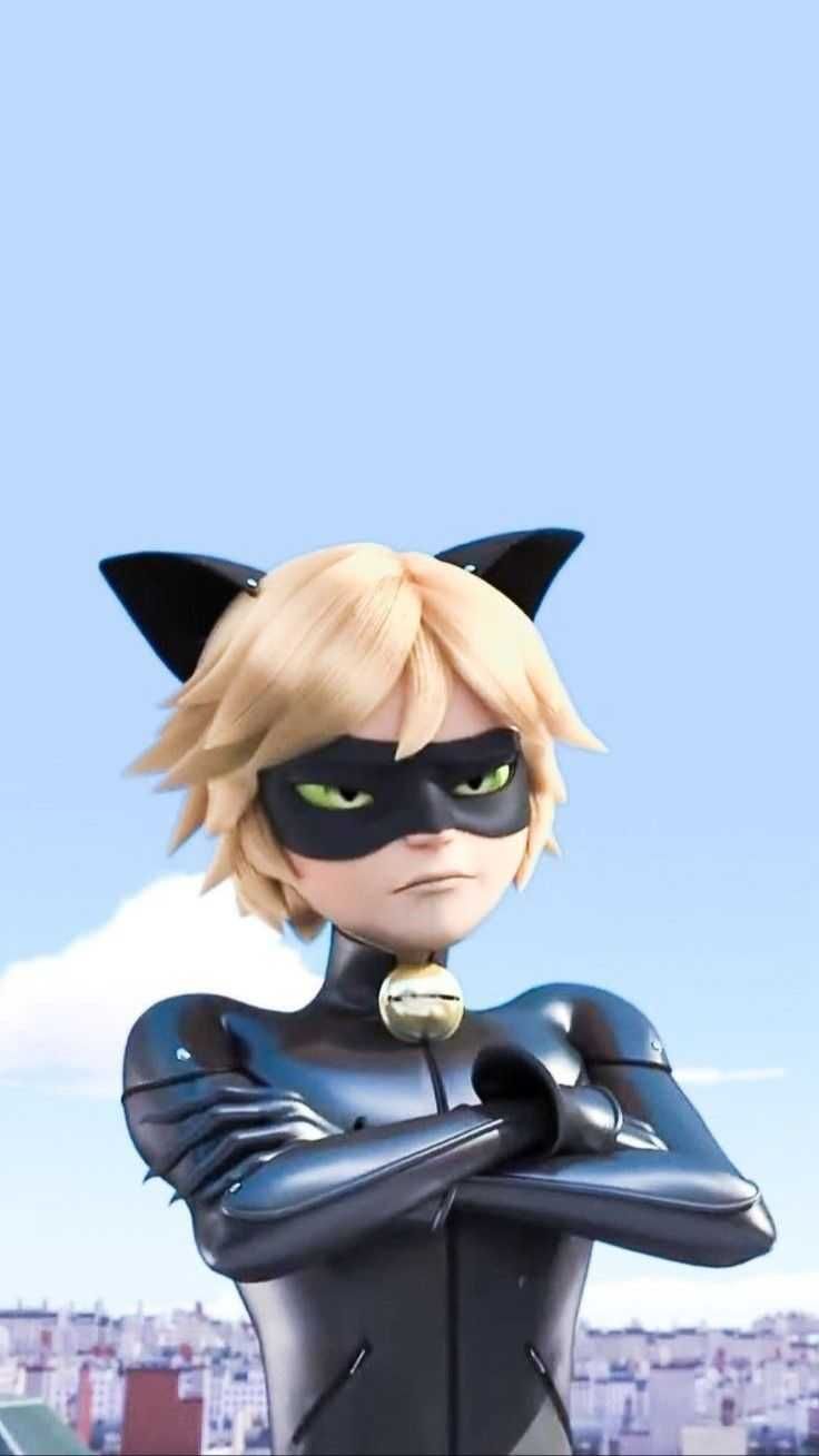 Cute Cat Noir ComputerWallpapers