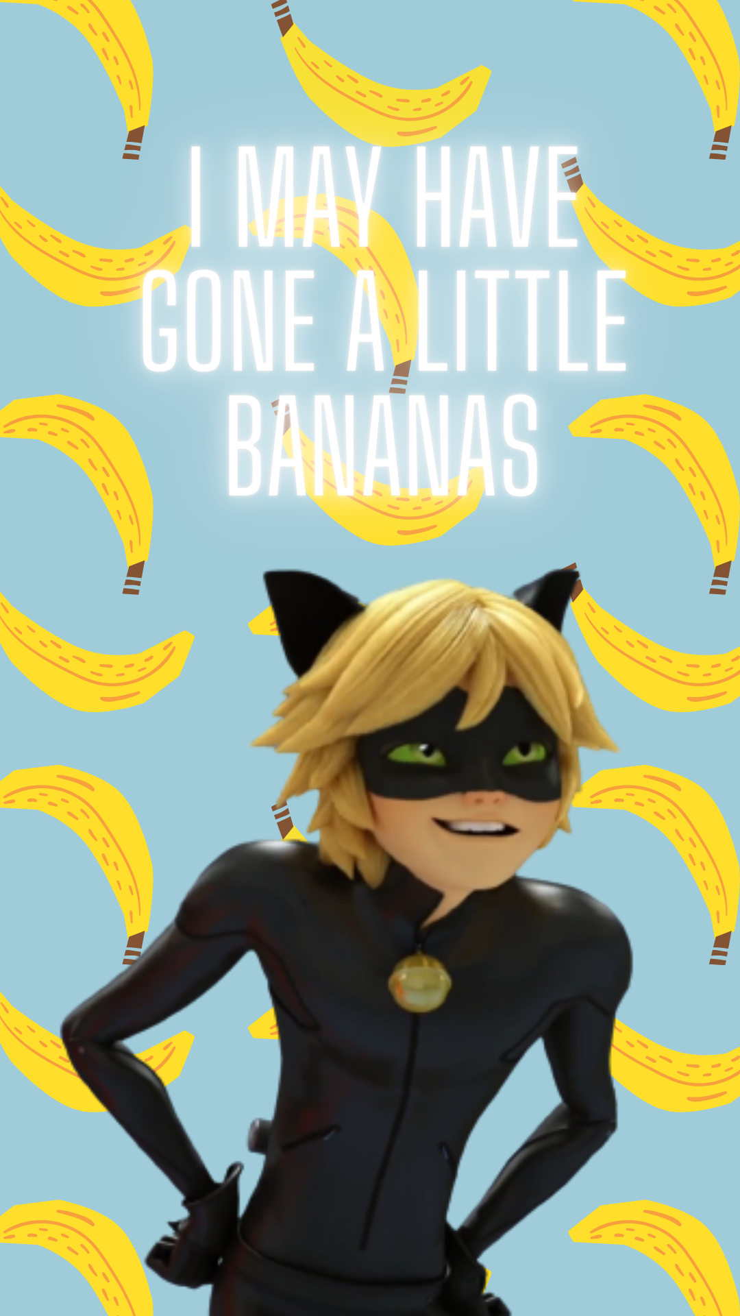 Cute Cat Noir ComputerWallpapers