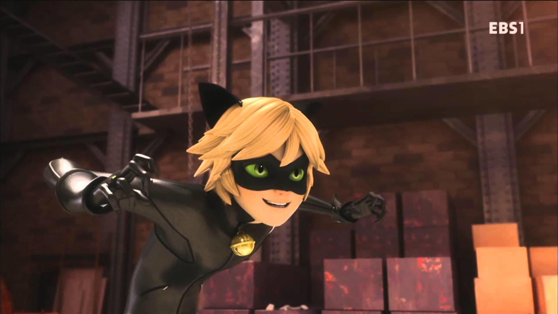 Cute Cat Noir ComputerWallpapers