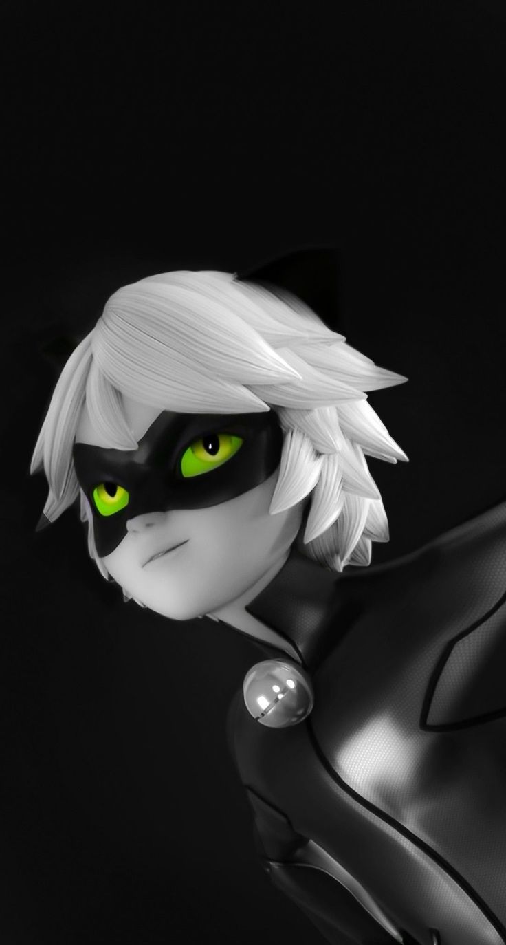 Cute Cat Noir ComputerWallpapers