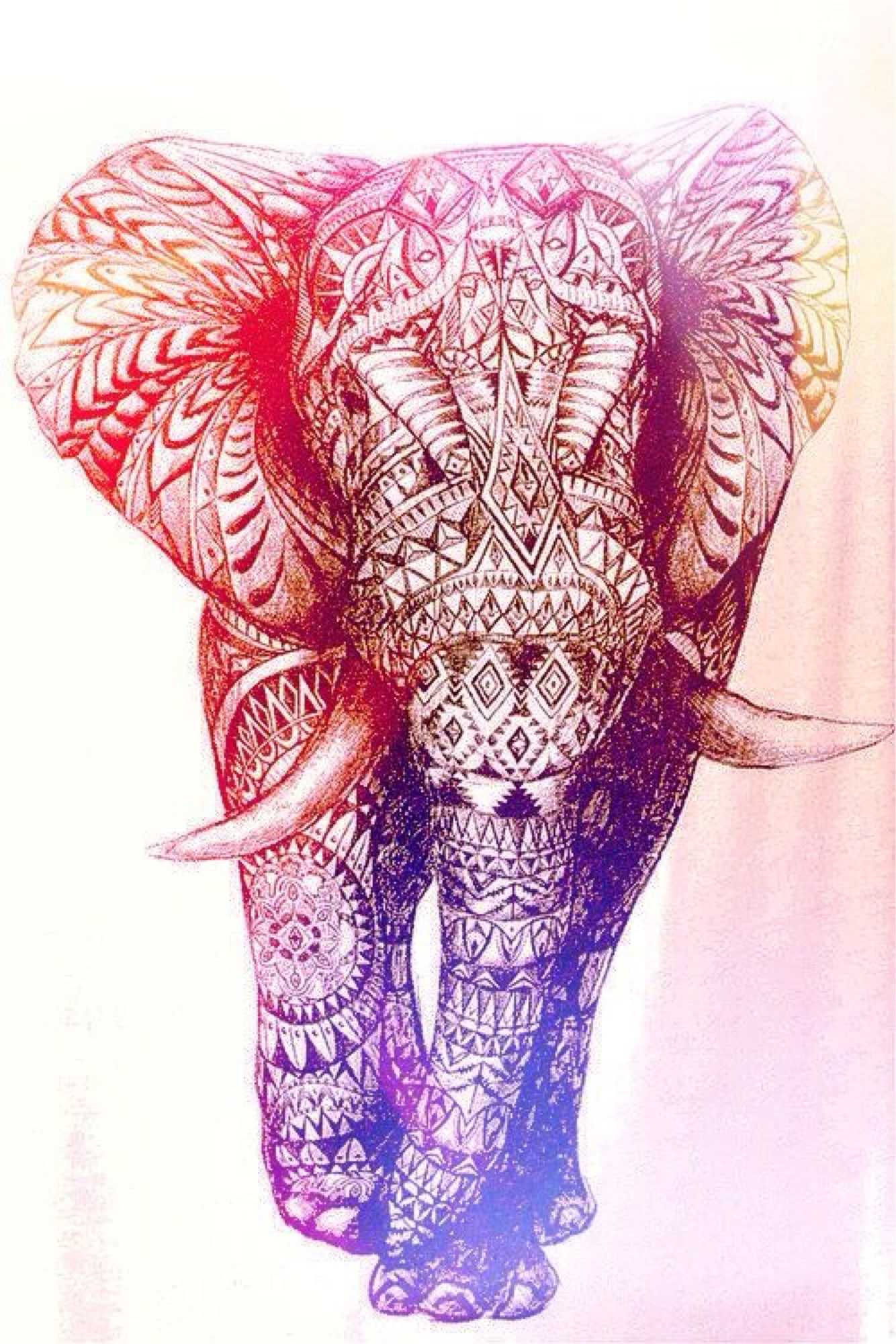 Cute Colorful Elephant Wallpapers