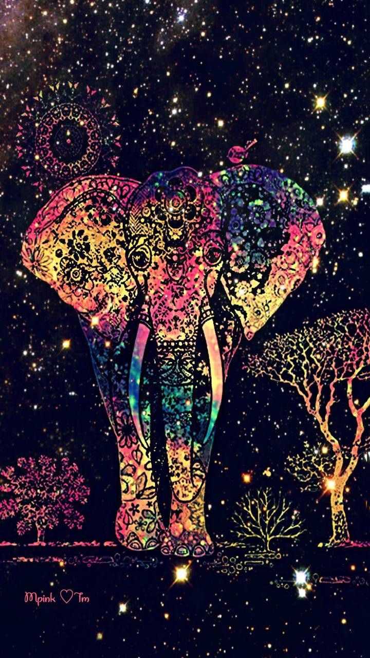 Cute Colorful Elephant Wallpapers