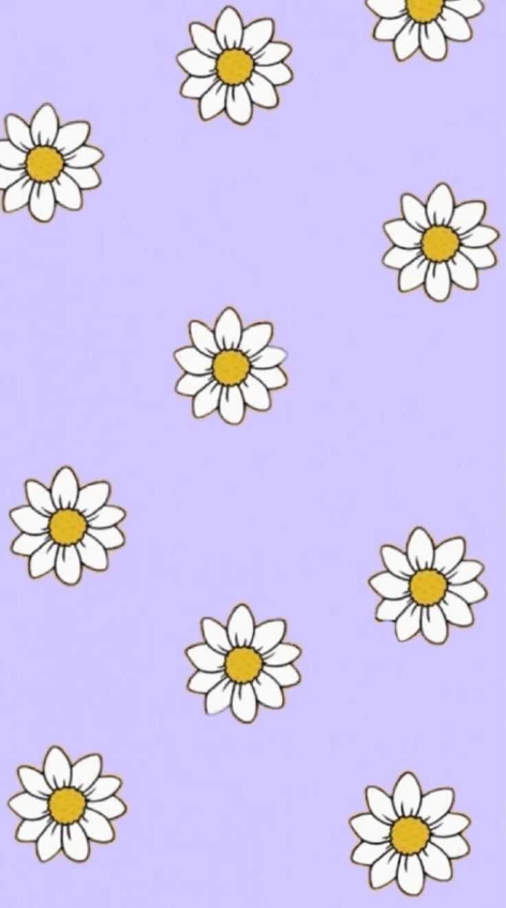 Cute Daisy Wallpapers