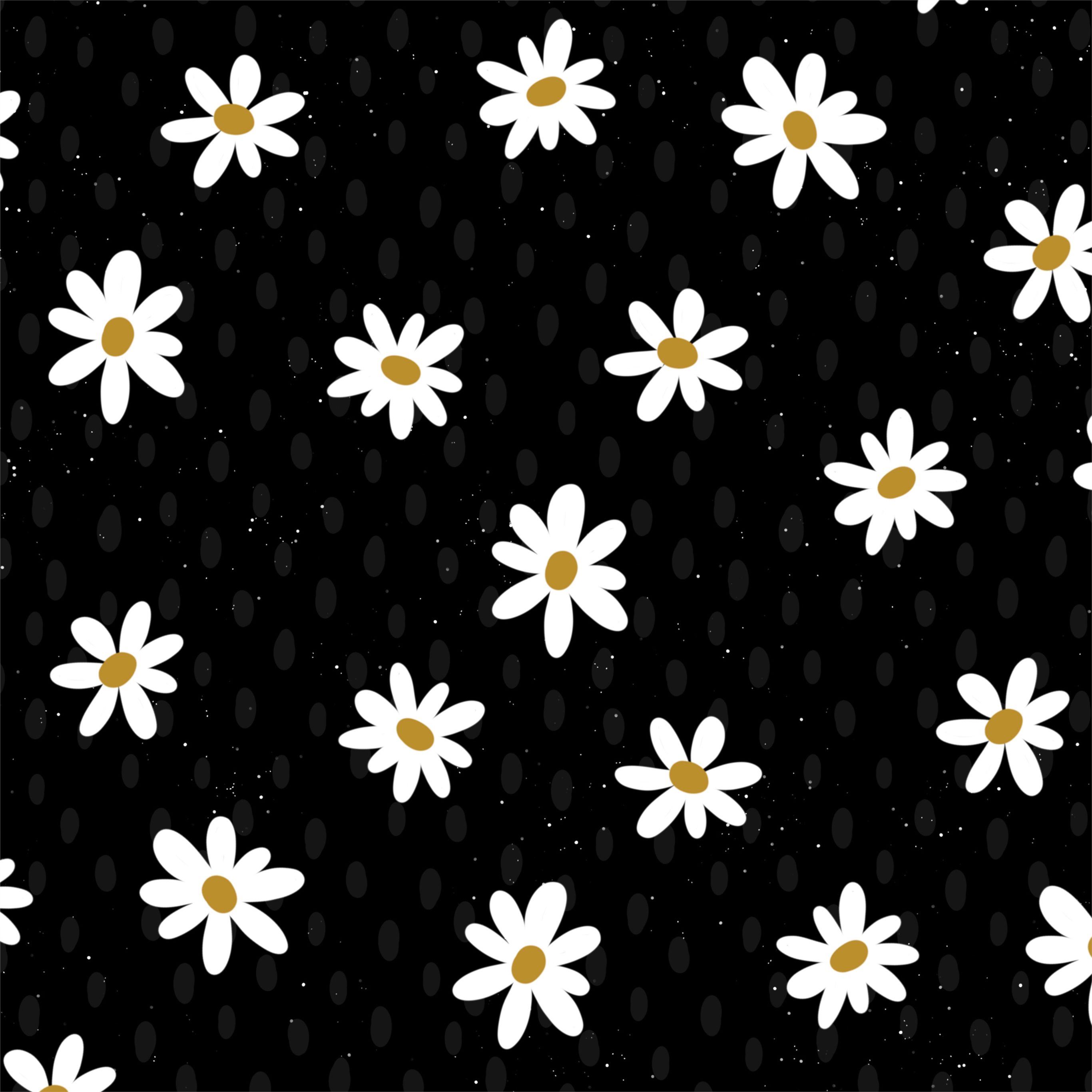 Cute Daisy Wallpapers