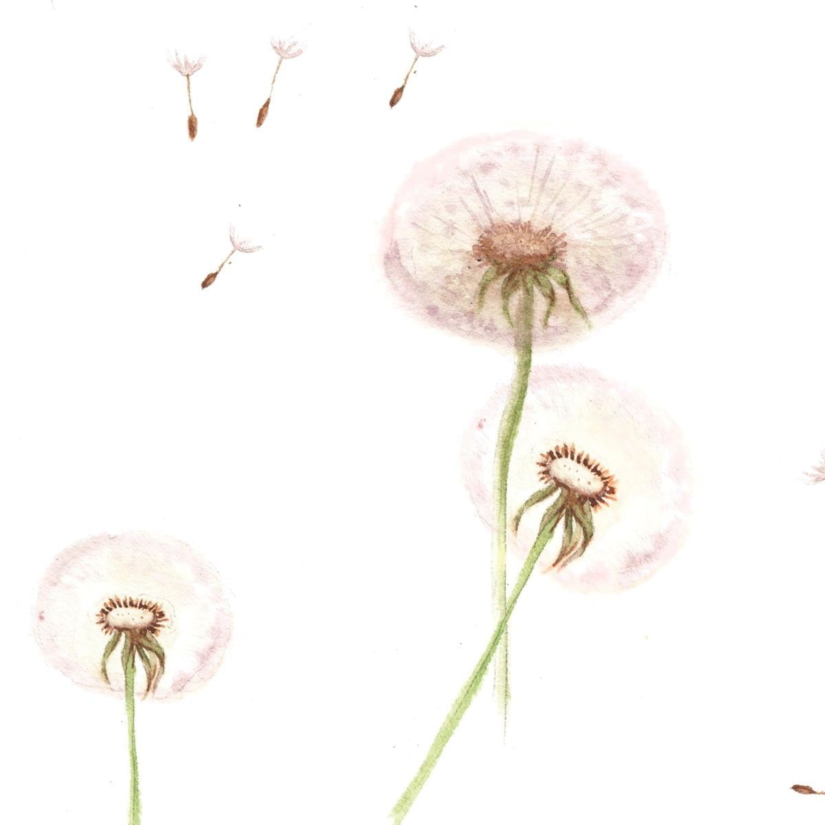 Cute Dandelion Wallpapers