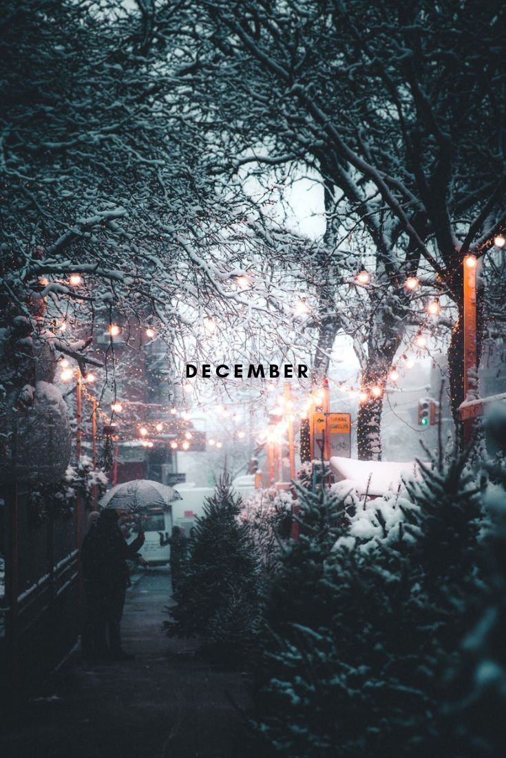 Cute December Wallpapers