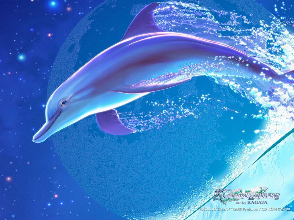 Cute Dolphin Wallpapers