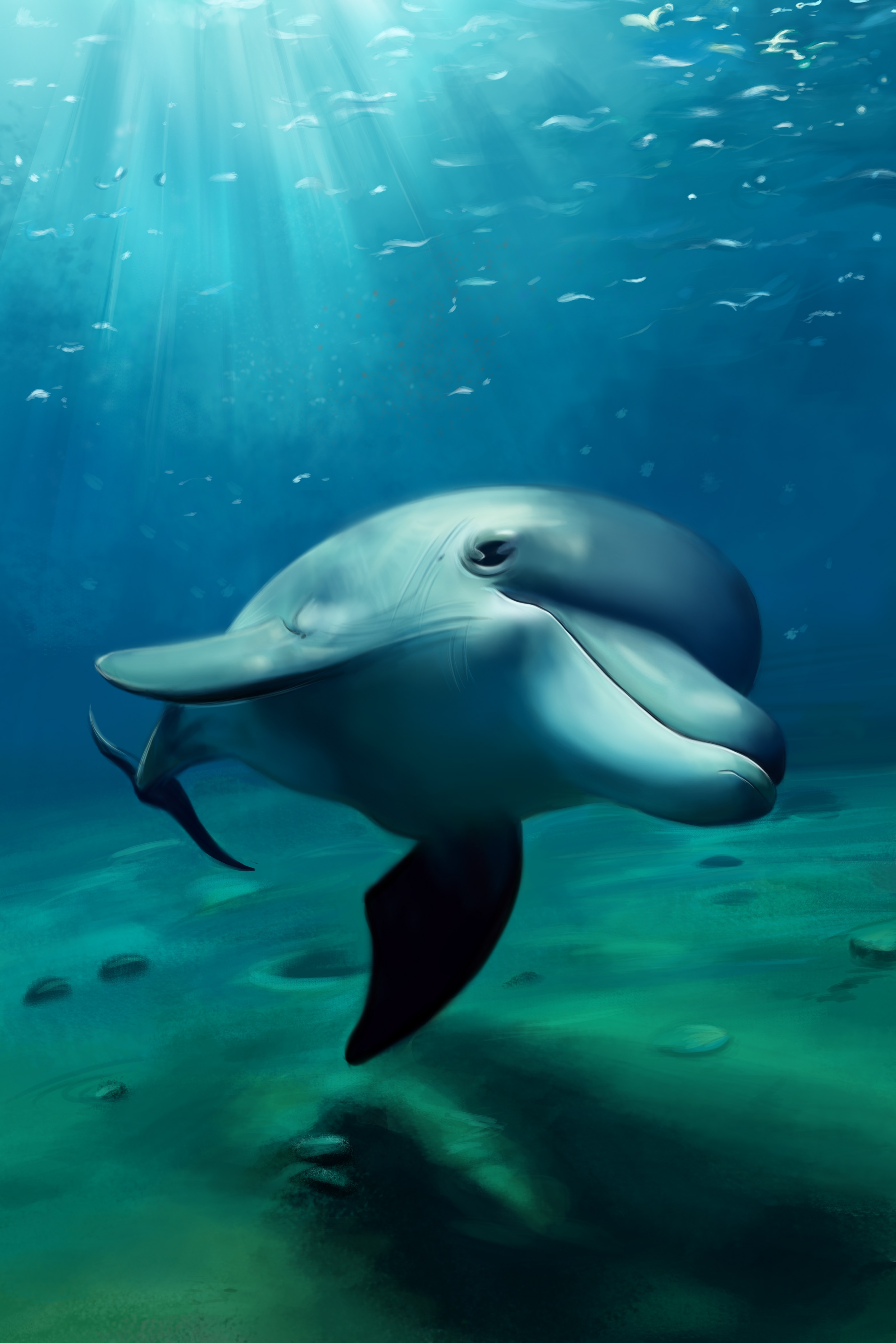 Cute Dolphin Wallpapers