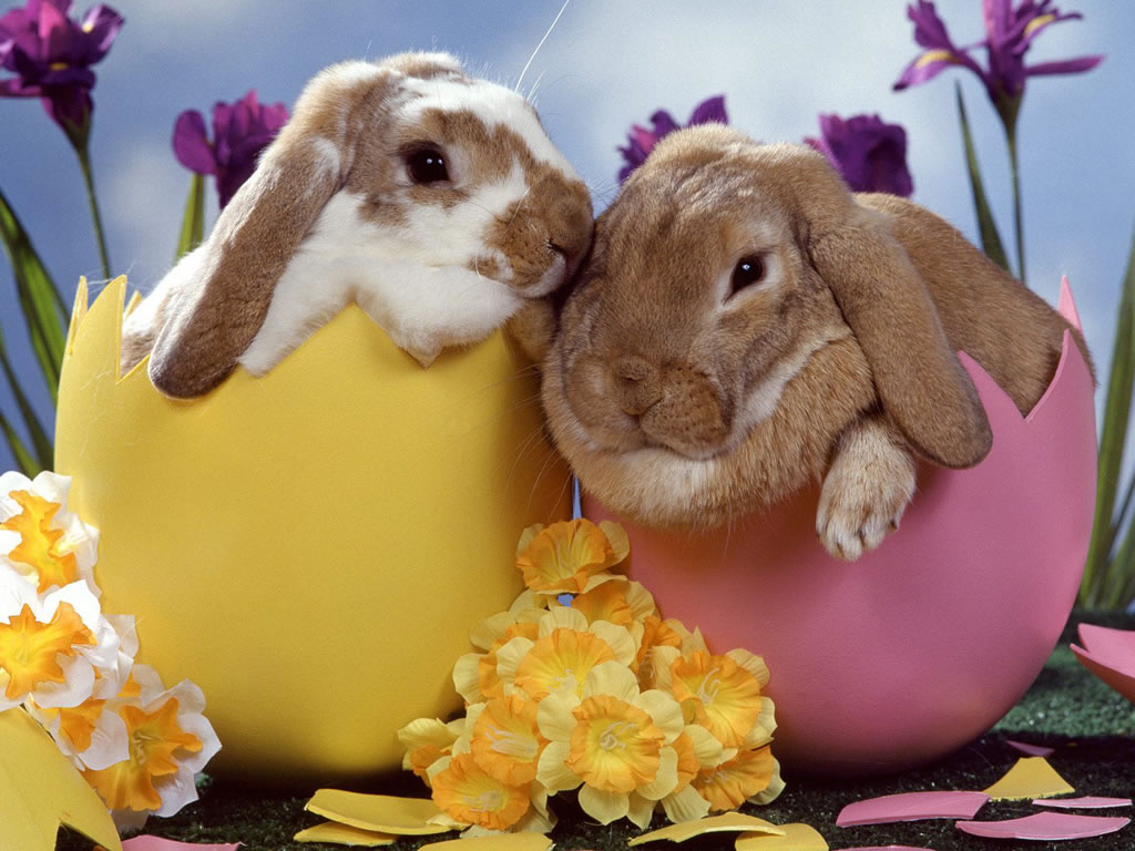 Cute Easter Wallpapers