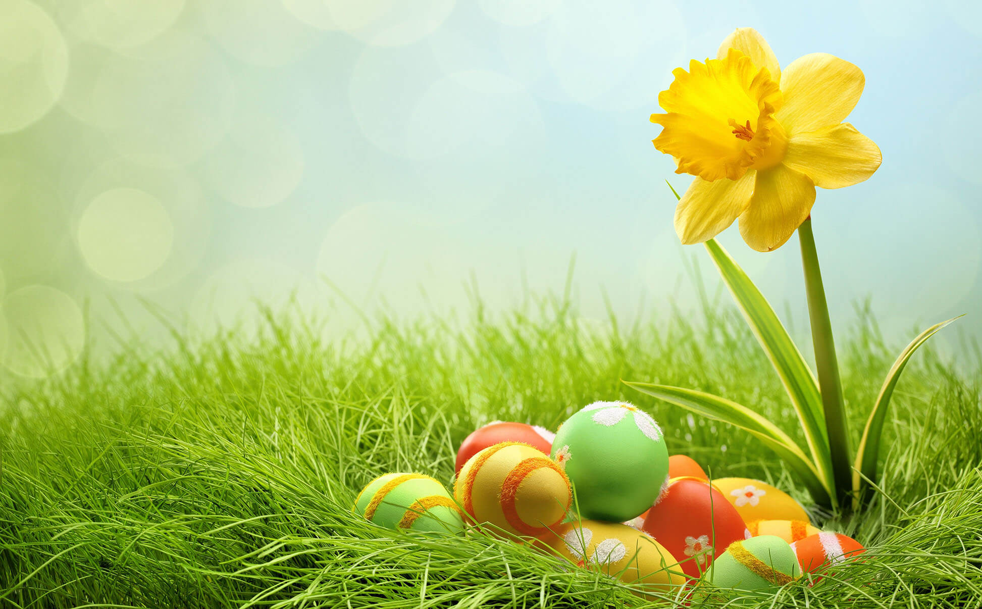 Cute Easter Wallpapers