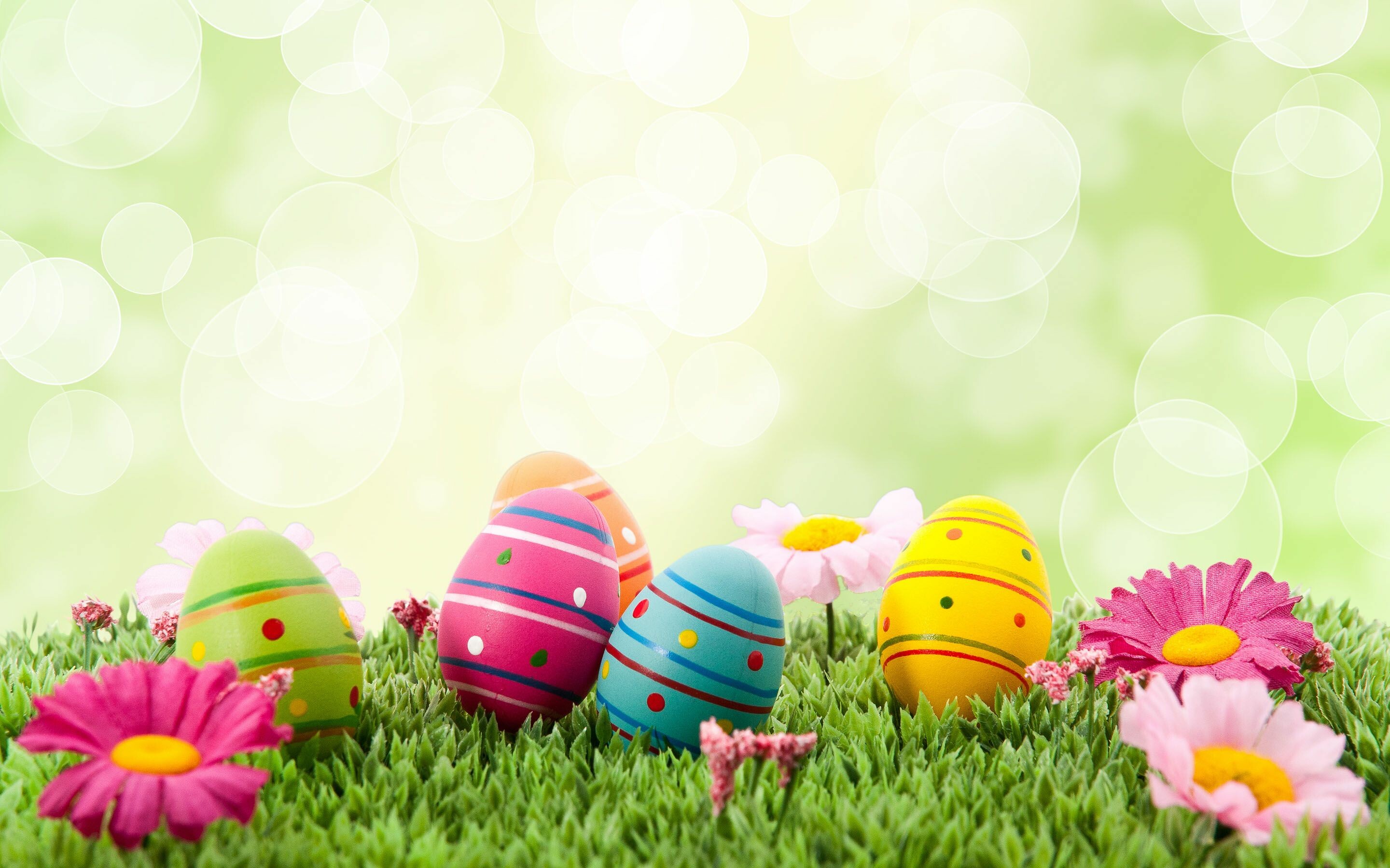 Cute Easter  Wallpapers