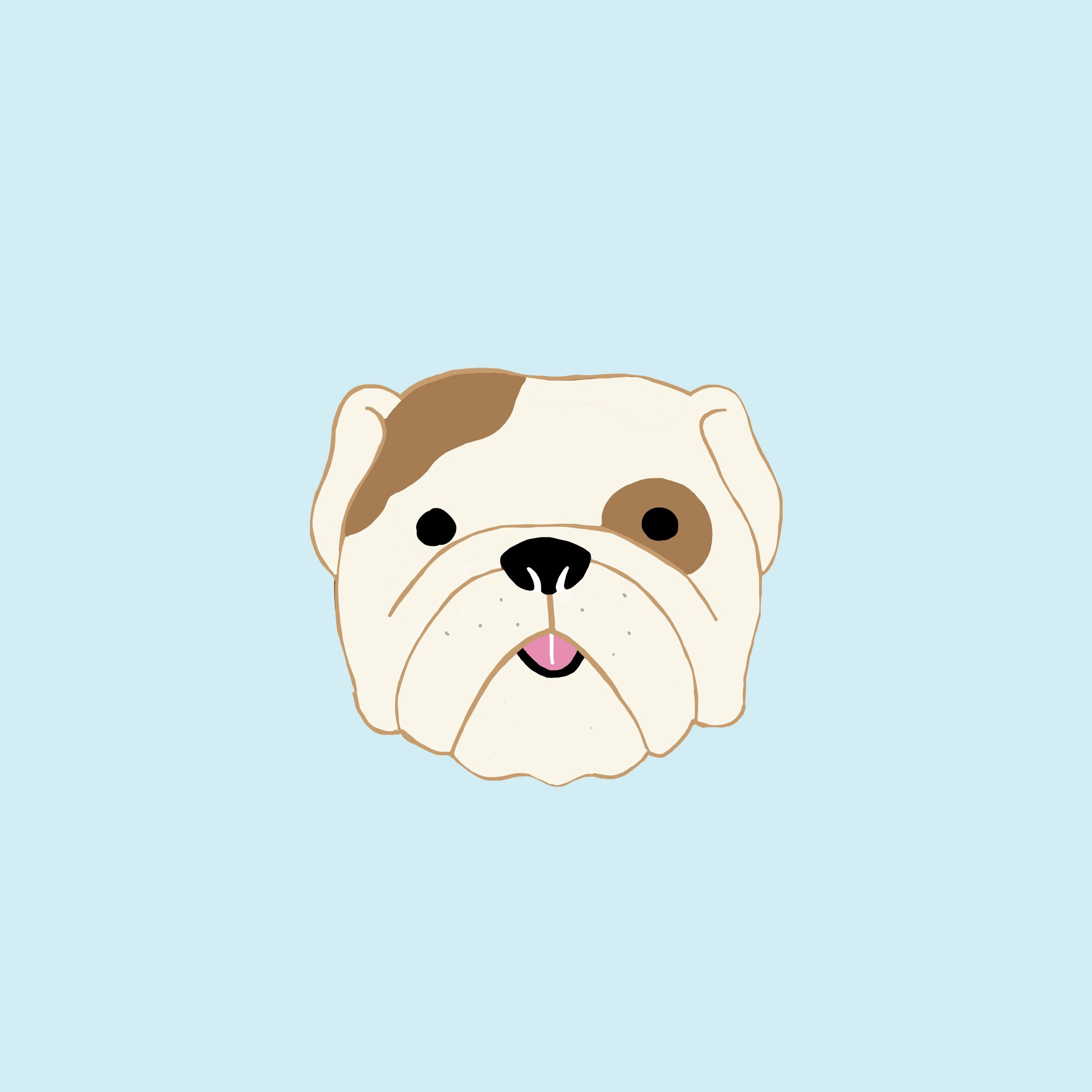 Cute English Bulldogs Wallpapers