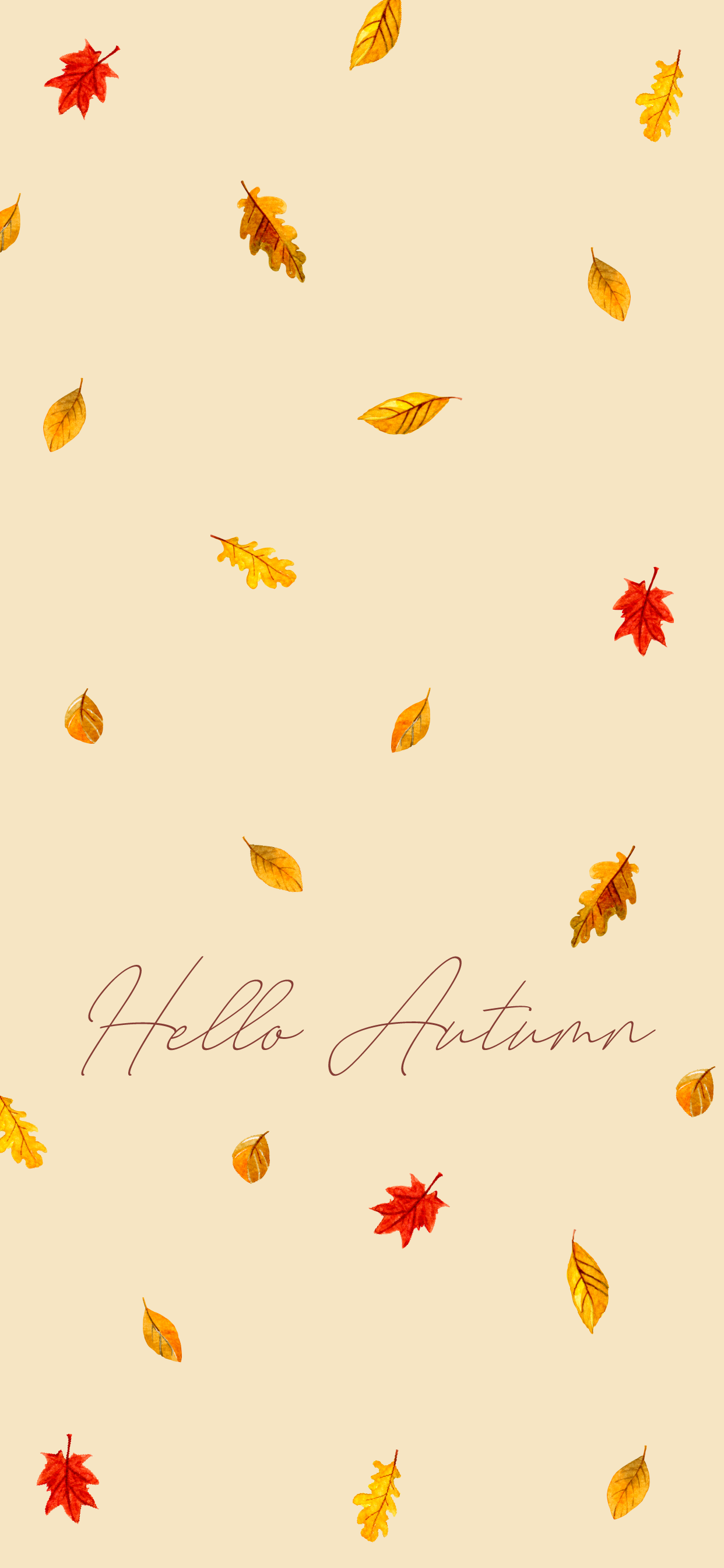 Cute Fall Iphone Wallpapers