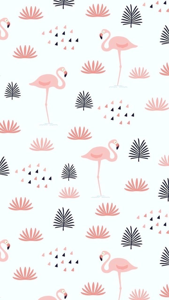 Cute FlamingoWallpapers