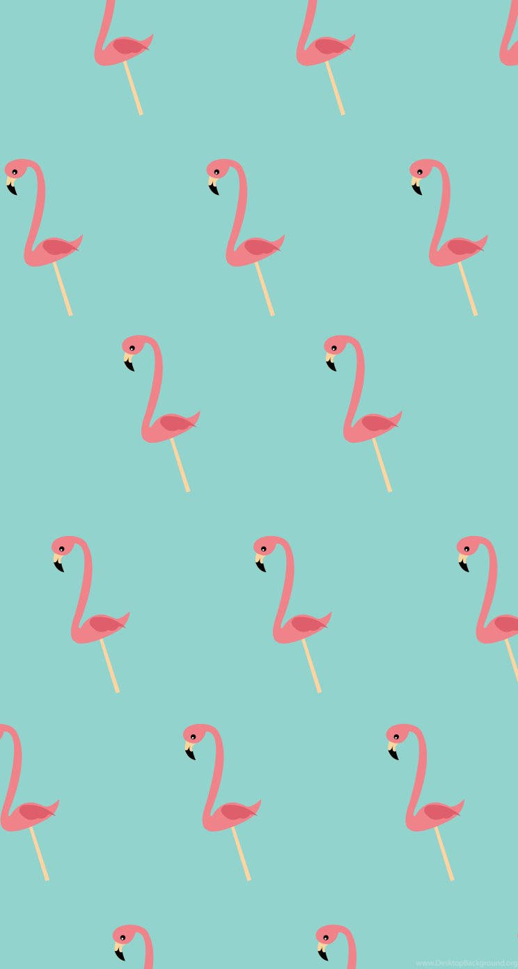 Cute FlamingoWallpapers