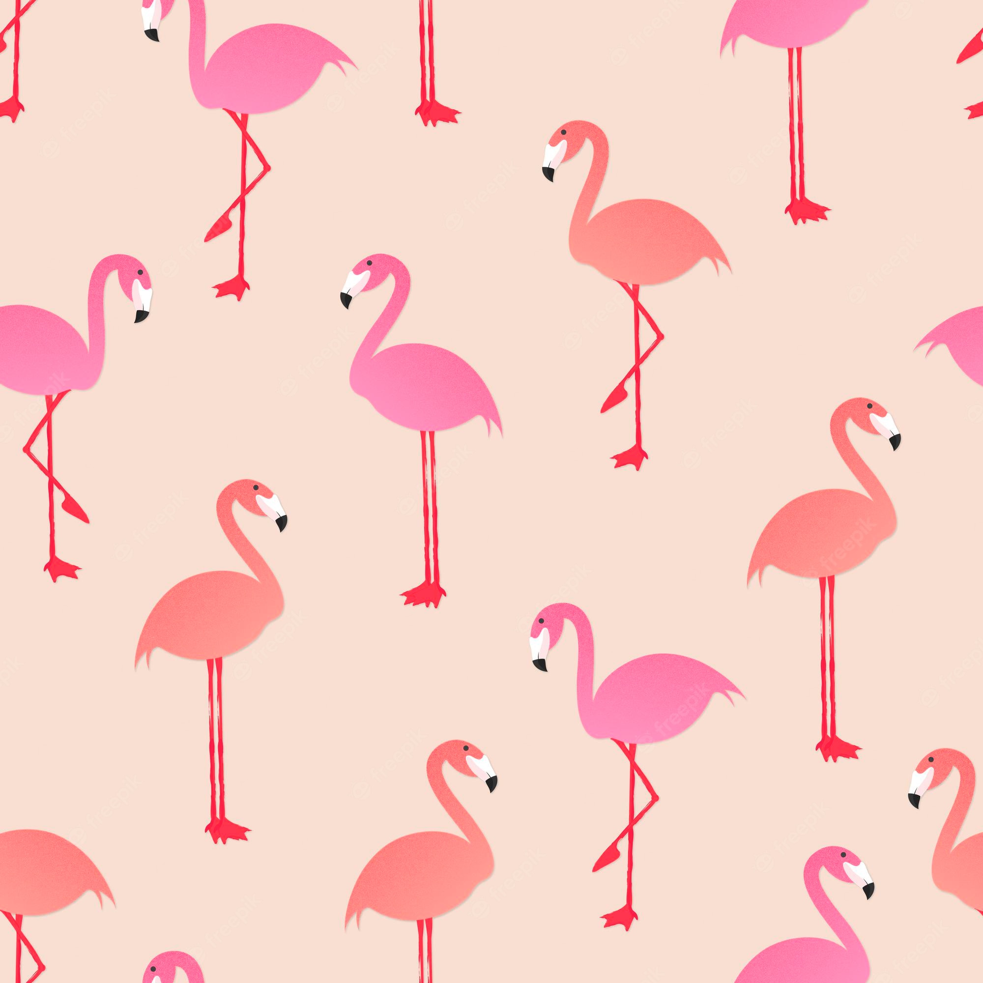 Cute FlamingoWallpapers