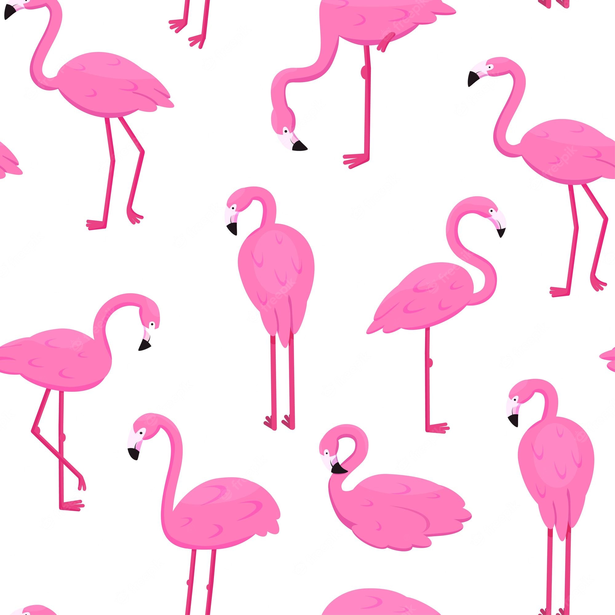 Cute FlamingoWallpapers