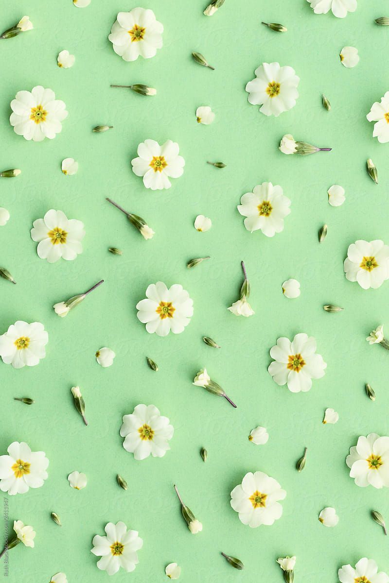 Cute Floral Green Wallpapers