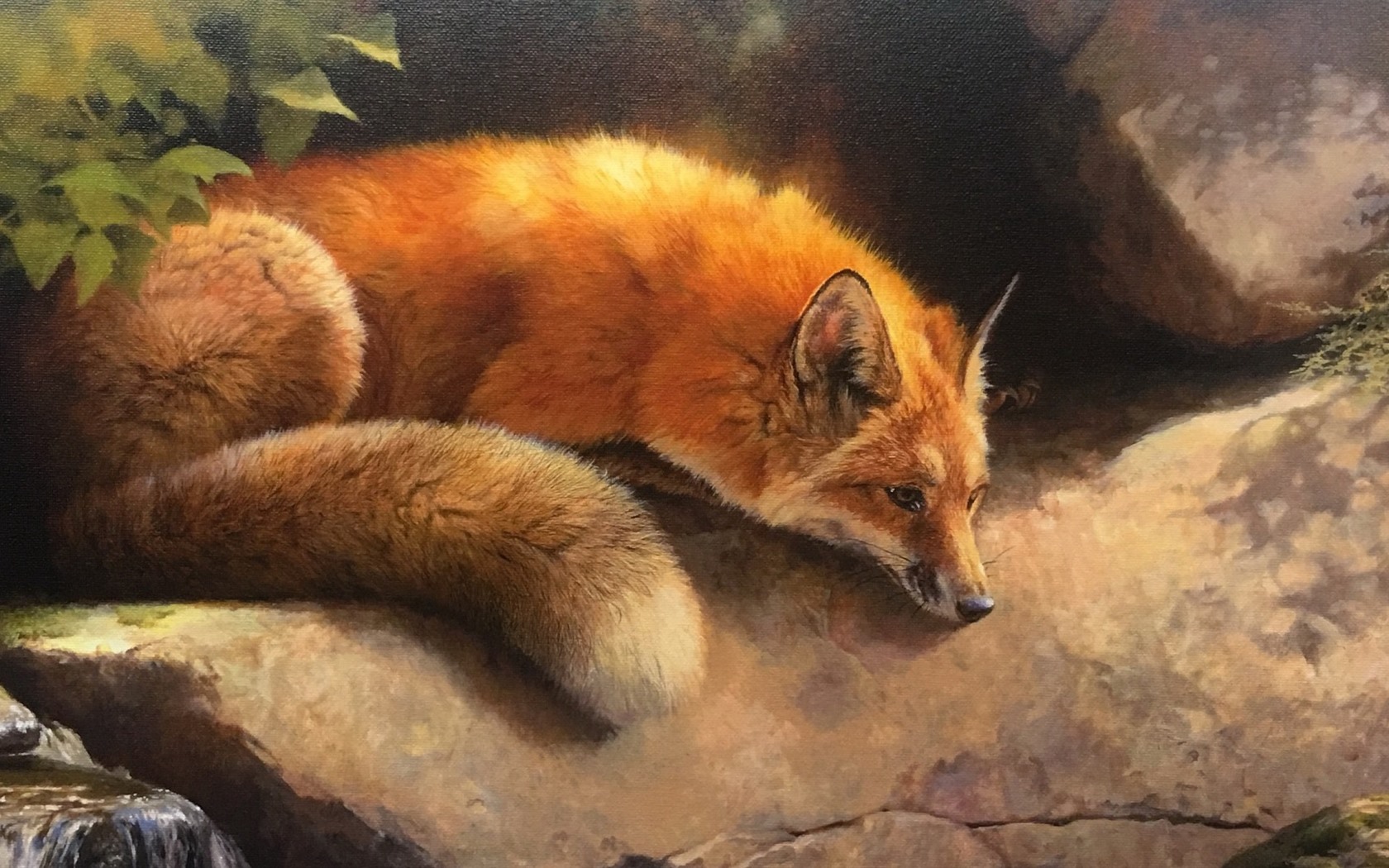 Cute Fox Art Wallpapers