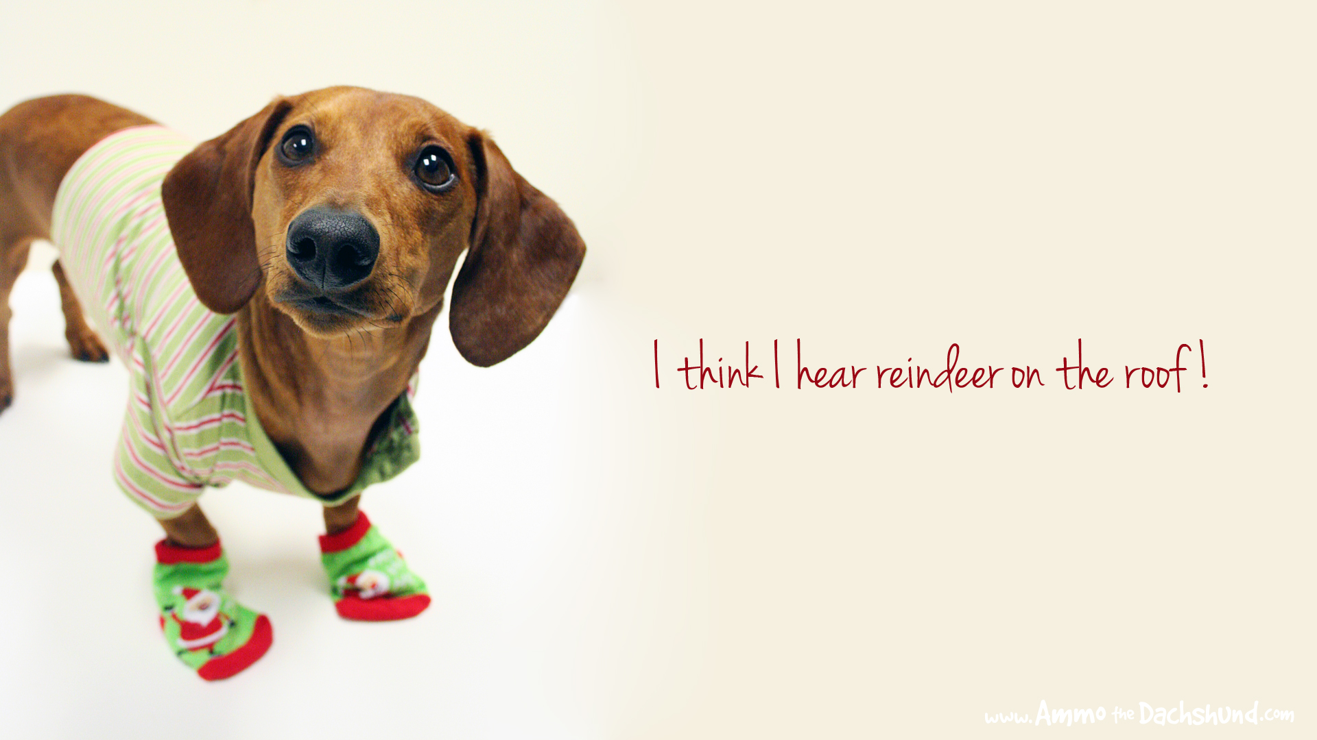 Cute Holiday Desktop Wallpapers