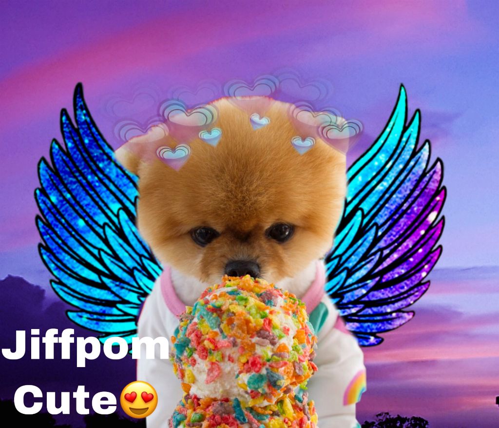 Cute Jiffpom Wallpapers